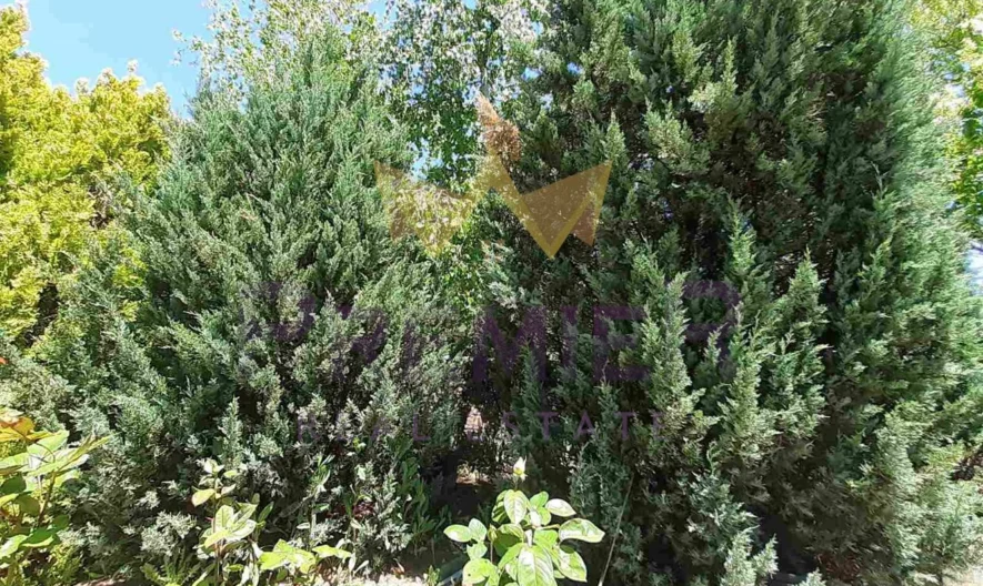 Два парцела в с.Долище -  - снимка 25 - Имоти Премиер