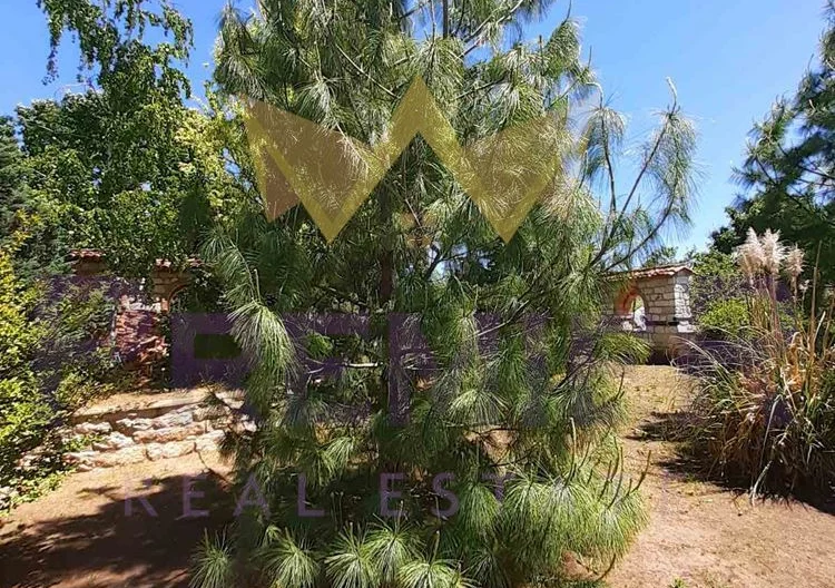 Два парцела в с.Долище -  - снимка 29 - Имоти Премиер