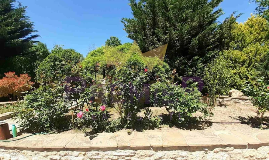 Два парцела в с.Долище -  - снимка 32 - Имоти Премиер