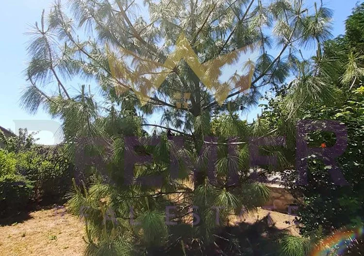 Два парцела в с.Долище -  - снимка 33 - Имоти Премиер