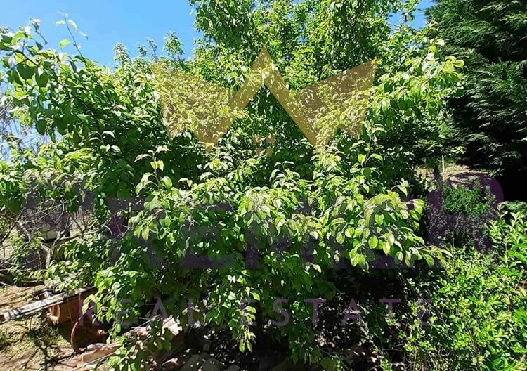 Два парцела в с.Долище -  - снимка 8 - Имоти Премиер