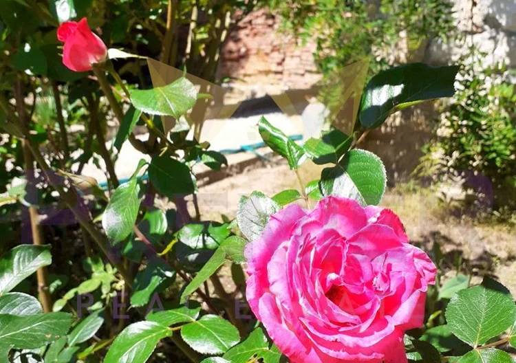 Два парцела в с.Долище -  - снимка 8 - Имоти Премиер