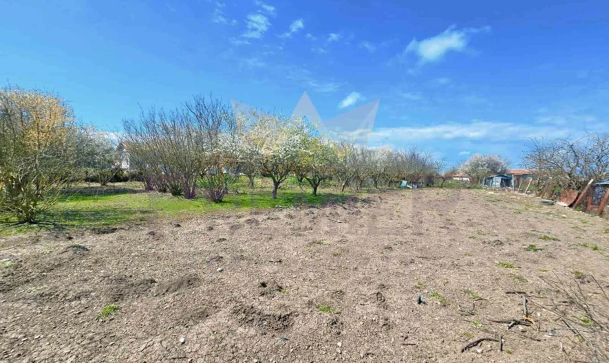 Две къщи в един двор (3689 кв.м.), с.Могилище, общ. Каварна, обл. Добрич. -  - снимка 33 - Имоти Премиер