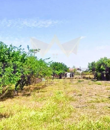 Две къщи в един двор, с.Могилище, обл. Добрич. -  - снимка 10 - Имоти Премиер