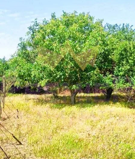 Две къщи в един двор, с.Могилище, обл. Добрич. -  - снимка 11 - Имоти Премиер