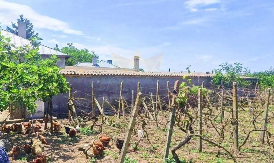 Две къщи в един двор, с.Могилище, обл. Добрич. -  - снимка 4 - Имоти Премиер