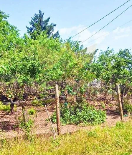 Две къщи в един двор, с.Могилище, обл. Добрич. -  - снимка 9 - Имоти Премиер