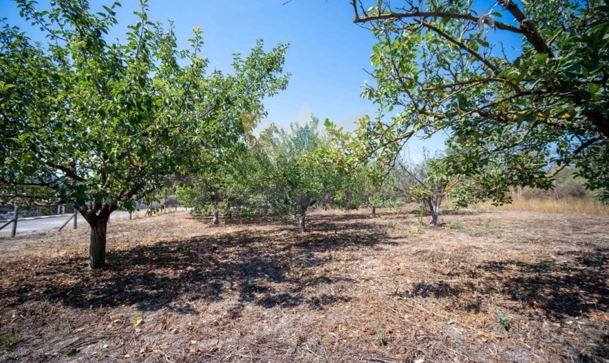 Двуетажна къща е село Църква -  - снимка 18 - Имоти Премиер