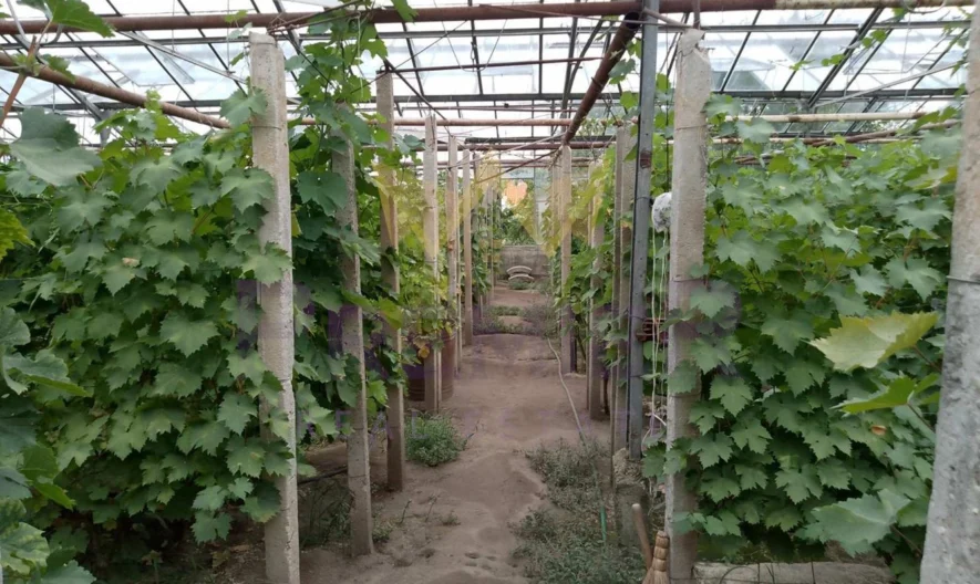 Двуетажна къща с. Бенковски - - снимка 24 - Имоти Премиер