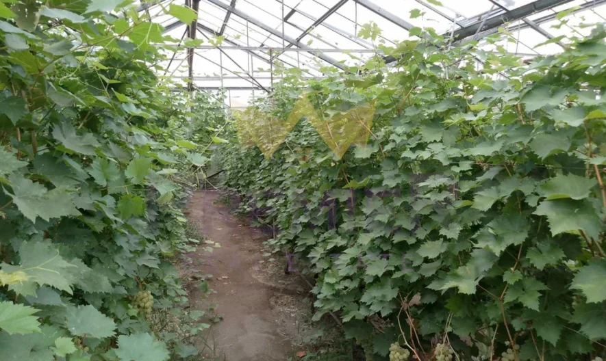 Двуетажна къща с. Бенковски -  - снимка 28 - Имоти Премиер