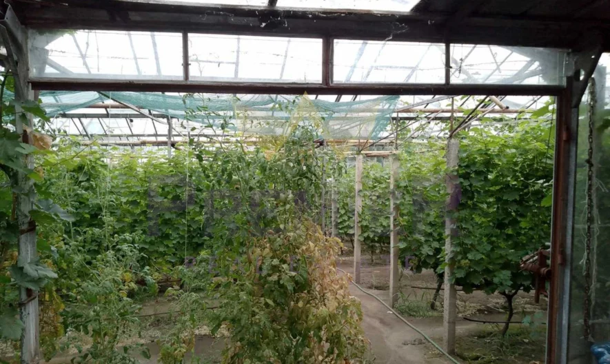 Двуетажна къща с. Бенковски -  - снимка 30 - Имоти Премиер