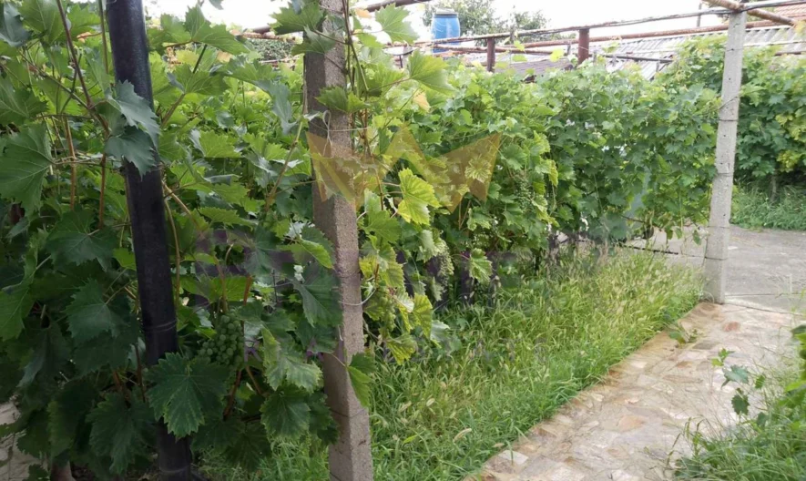 Двуетажна къща с. Бенковски - - снимка 30 - Имоти Премиер