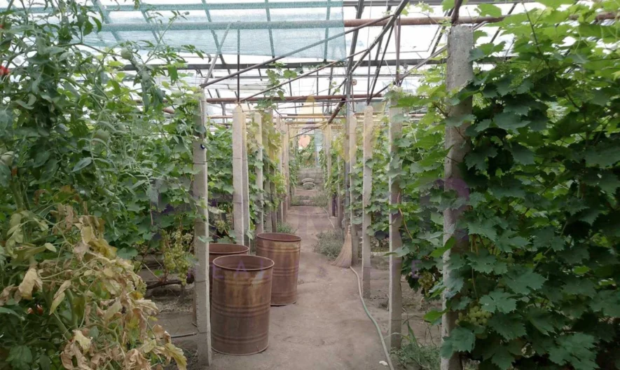 Двуетажна къща с. Бенковски - - снимка 31 - Имоти Премиер