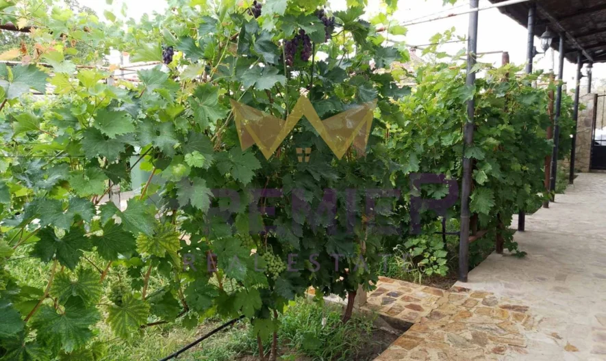 Двуетажна къща с. Бенковски - - снимка 32 - Имоти Премиер