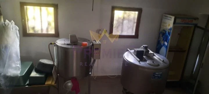 Двуетажна къща с ферма и мандра в с. Солник, обл. Варна -  - снимка 6 - Имоти Премиер