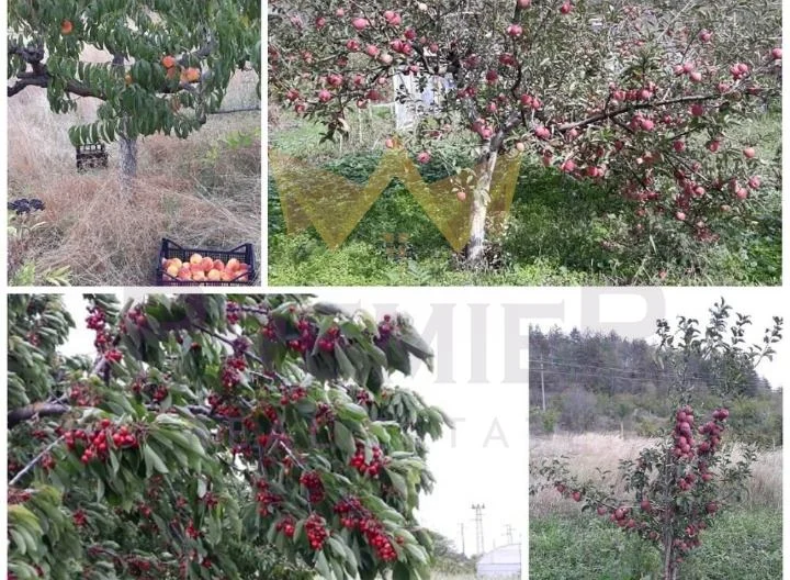 Двуетажна къща в с. Припек -  - снимка 14 - Имоти Премиер