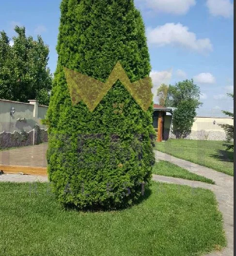 Двуетажна къща в село Езерец . -  - снимка 10 - Имоти Премиер