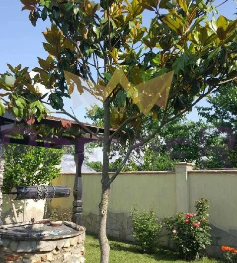 Двуетажна къща в село Езерец . -  - снимка 12 - Имоти Премиер