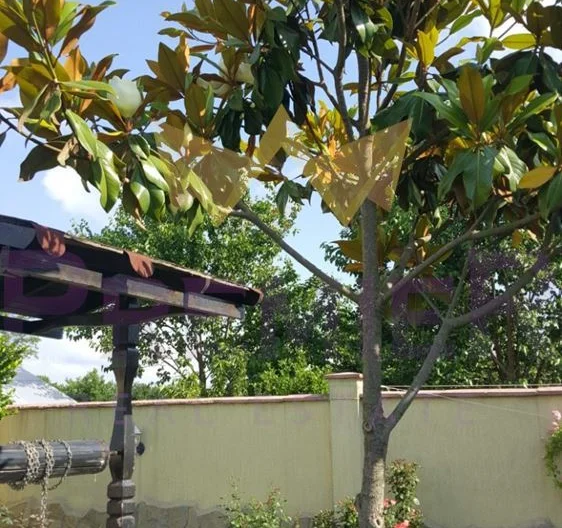 Двуетажна къща в село Езерец . - - снимка 14 - Имоти Премиер