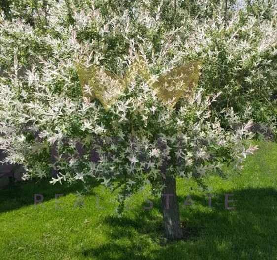 Двуетажна къща в село Езерец . -  - снимка 18 - Имоти Премиер