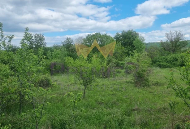 Агенция за недвижими имоти - Имоти Премиер - имот - 1066783, Цена: 22000 EUR