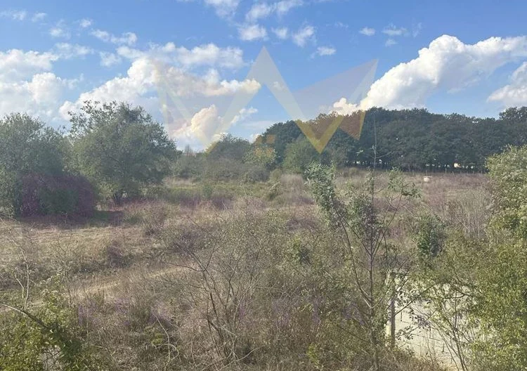 двуетажна малка къща за ремонт с парцел 2750м2 в края на село Венелин - - снимка 10 - Имоти Премиер