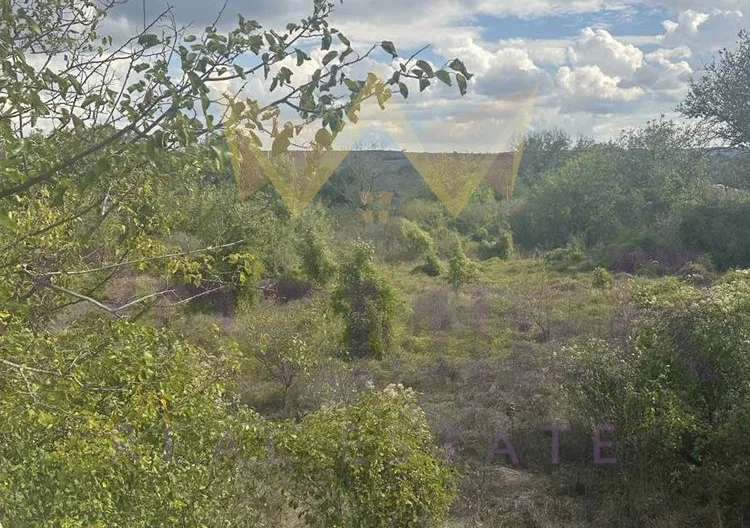 двуетажна малка къща за ремонт с парцел 2750м2 в края на село Венелин - - снимка 11 - Имоти Премиер