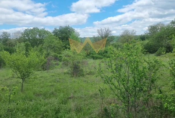 Агенция за недвижими имоти - Имоти Премиер - имот - 1066783, Цена: 22000 EUR