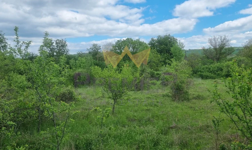 двуетажна малка къща за ремонт с парцел 2750м2 в края на село Венелин - - снимка 2 - Имоти Премиер