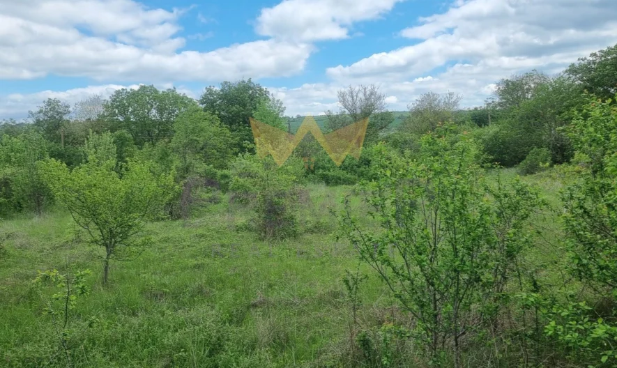 двуетажна малка къща за ремонт с парцел 2750м2 в края на село Венелин - - снимка 3 - Имоти Премиер