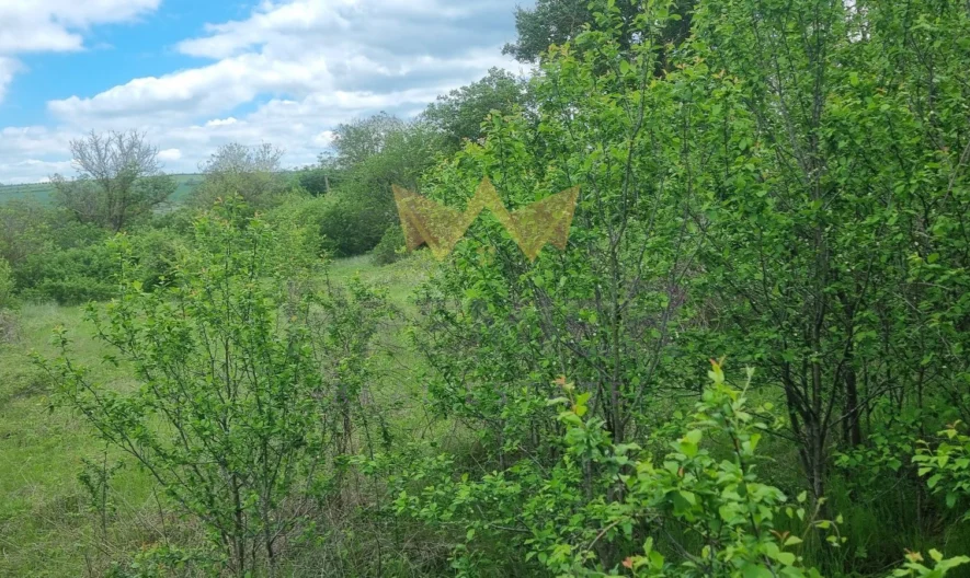 двуетажна малка къща за ремонт с парцел 2750м2 в края на село Венелин - - снимка 9 - Имоти Премиер