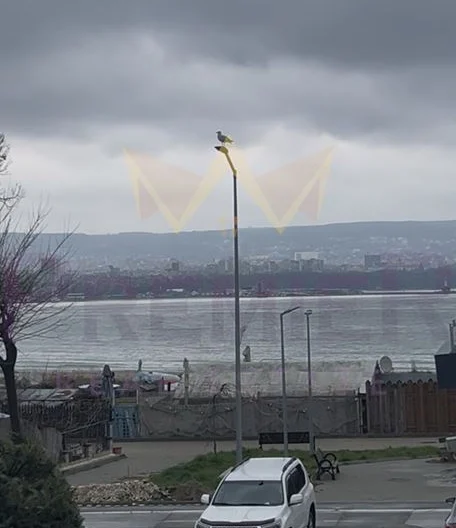 Двустаен апартамент-Аспарухово -  - снимка 6 - Имоти Премиер