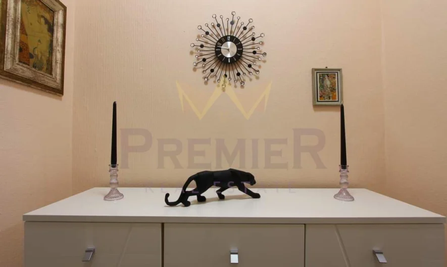 ДВУСТАЕН АПАРТАМЕНТ, ГРЪЦКА МАХАЛА - - снимка 4 - Имоти Премиер