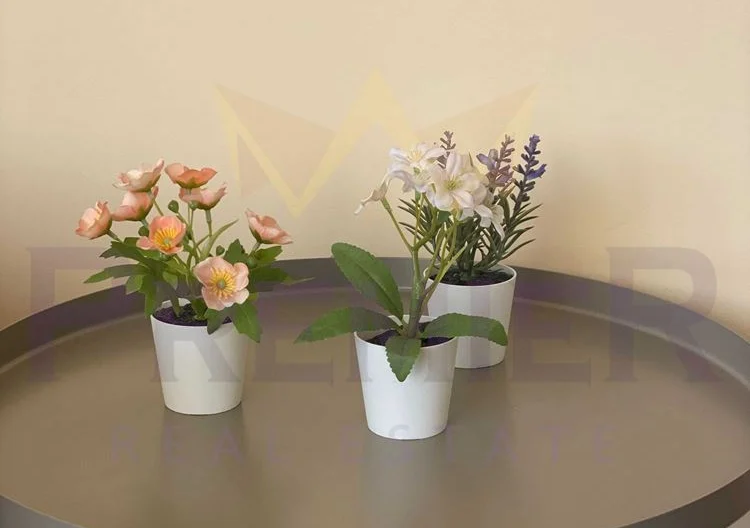 ДВУСТАЕН АПАРТАМЕНТ ГРЪЦКА МАХАЛА -  - снимка 5 - Имоти Премиер