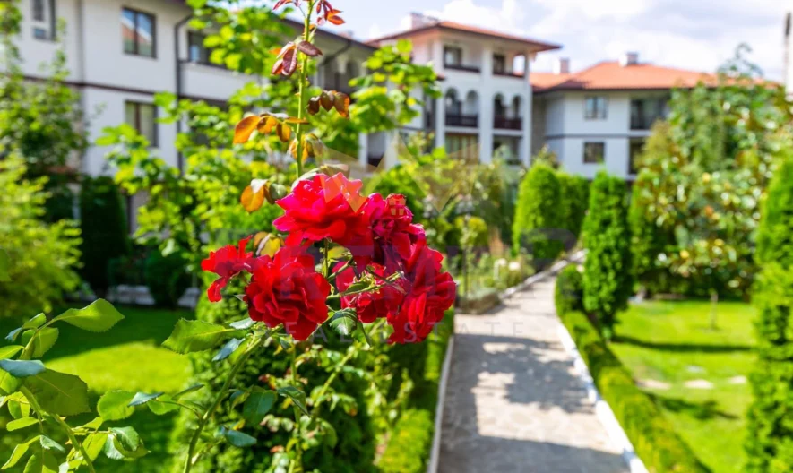 ?Едностаен апартамент в комплекс „Арена 1“, Свети Влас? - - снимка 16 - Имоти Премиер