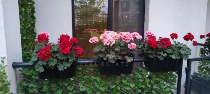 Едностаен апартамент в квартал Витоша , район Лозенец - - снимка 11 - Имоти Премиер