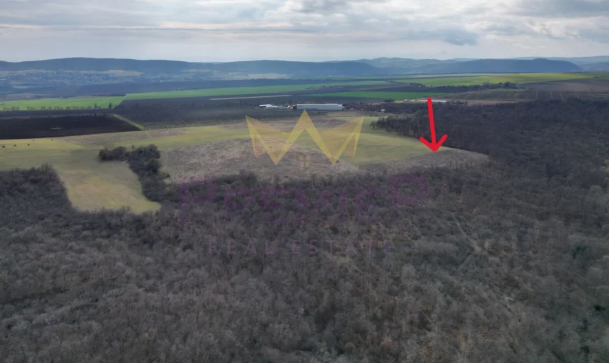 Ексклузивен парцел 4795 кв.м. до яз. Порой -  - снимка 6 - Имоти Премиер