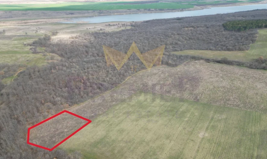 Ексклузивен УПИ 4795 кв.м. в с. Порой -  - снимка 2 - Имоти Премиер