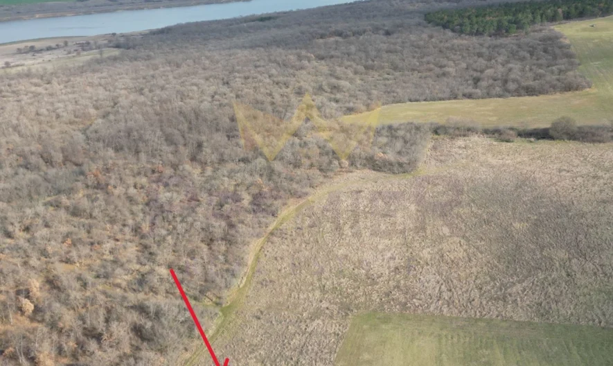 Ексклузивен УПИ 4795 кв.м. в с. Порой -  - снимка 3 - Имоти Премиер