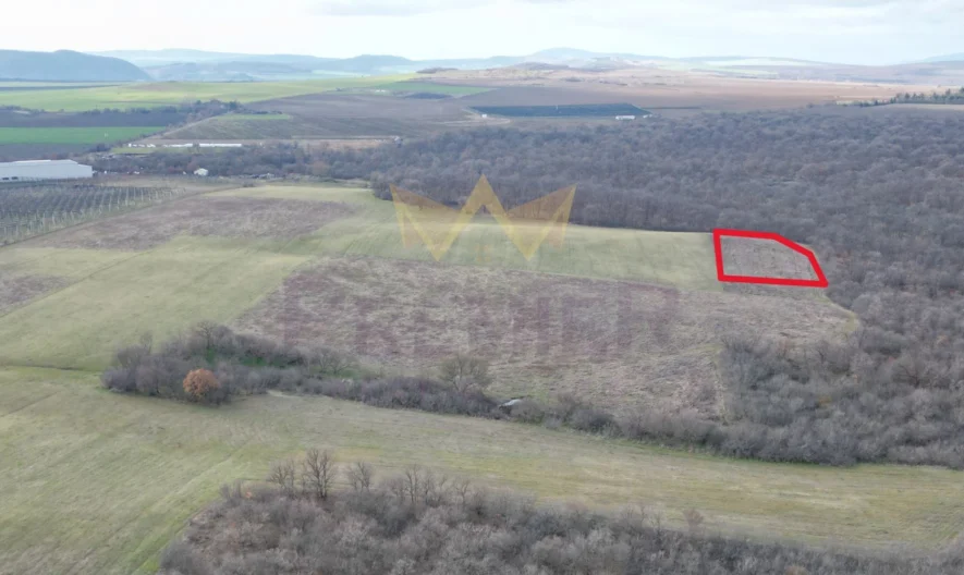 Ексклузивен УПИ 4795 кв.м. в с. Порой -  - снимка 4 - Имоти Премиер