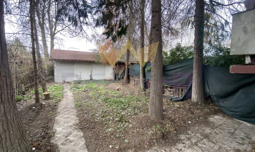Етаж от къща в кв. Павлово - - снимка 13 - Имоти Премиер