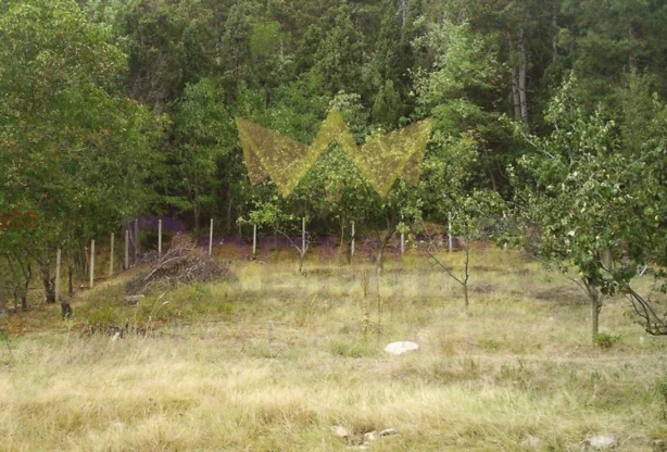 Агенция за недвижими имоти - Имоти Премиер - имот - 1012741, Цена: 49000 EUR