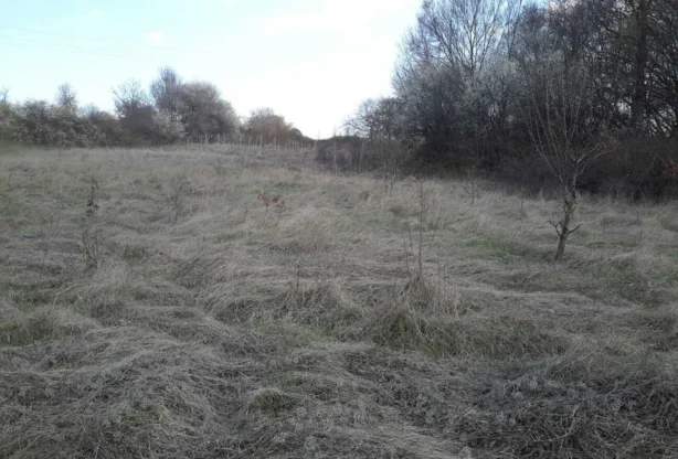 Агенция за недвижими имоти - Имоти Премиер - имот - 744838, Цена: 100000 EUR