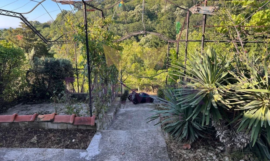 Freistehendes Haus mit unverbautem Meerblick und Garten am Waldrand – 10 Min. vom Strand entfernt -  - snimka 18 - Imoti Premier