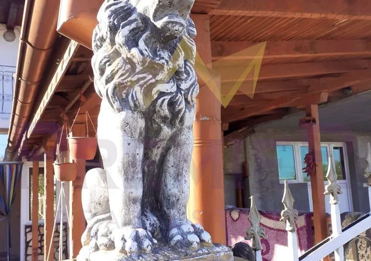 Голяма къща с двор и гараж. - - снимка 3 - Имоти Премиер