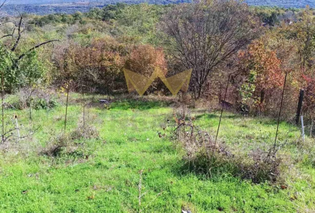 Immobilienagentur - Imoti Premier - imot - 952448, Preis: 42000 EUR