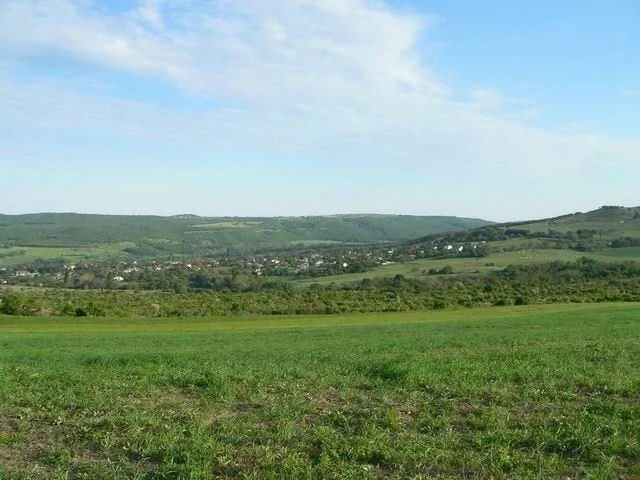 Grundstück im Dorf Osenovo -  - snimka 4 - Imoti Premier
