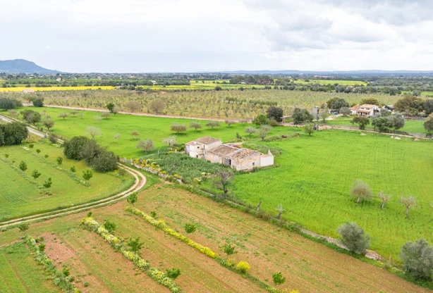 Immobilienagentur - Imoti Premier - imot - 1210613, Preis: 1995000 EUR