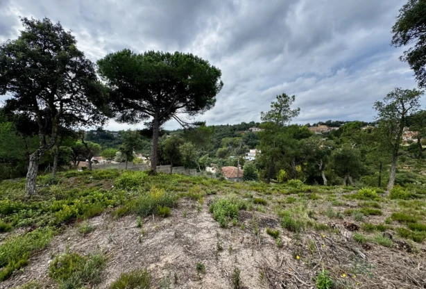Immobilienagentur - Imoti Premier - imot - 1210358, Preis: 220000 EUR