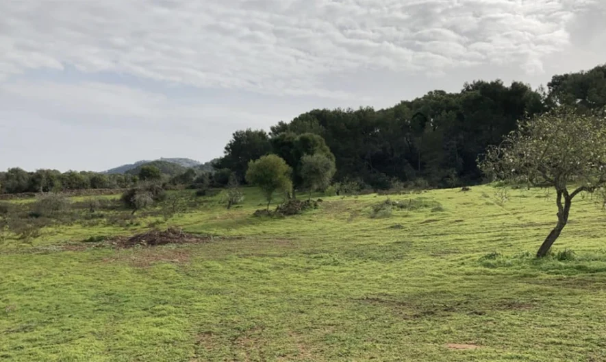 Grundstück in Santanyí, Mallorca -  - snimka 1 - Imoti Premier